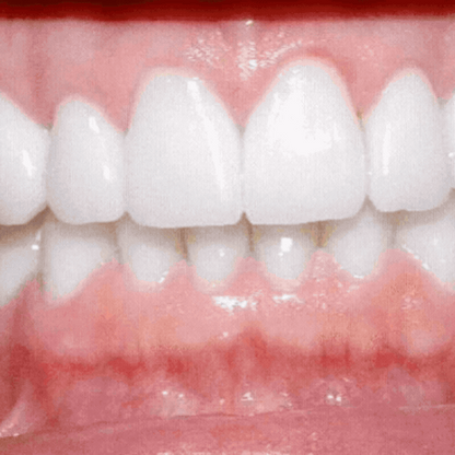 vx-wht-08